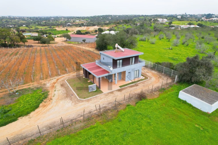 Negócio para Venda em Guia Foto 18