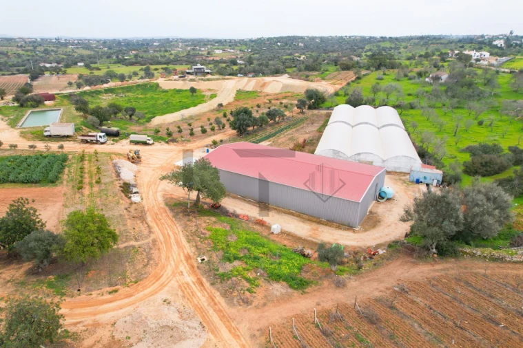 Negócio para Venda em Guia Foto 19
