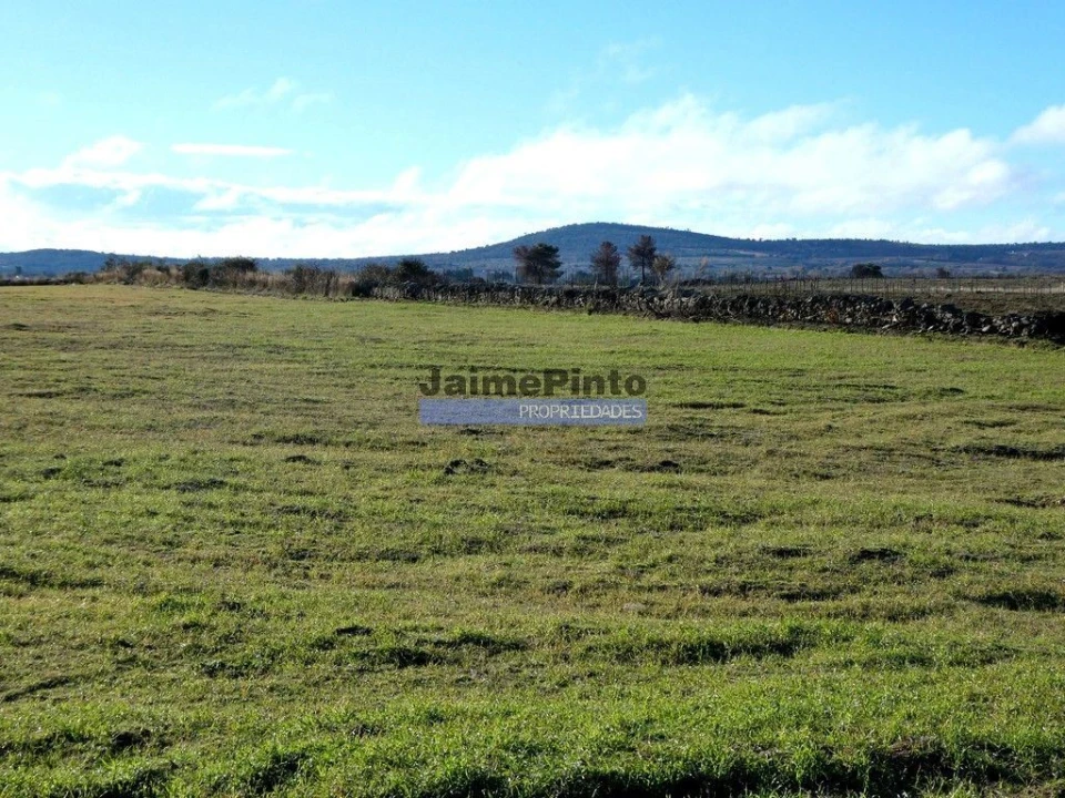 Terreno Agricola ou Rústico para Venda em Figueira de Castelo Rodrigo Foto 2