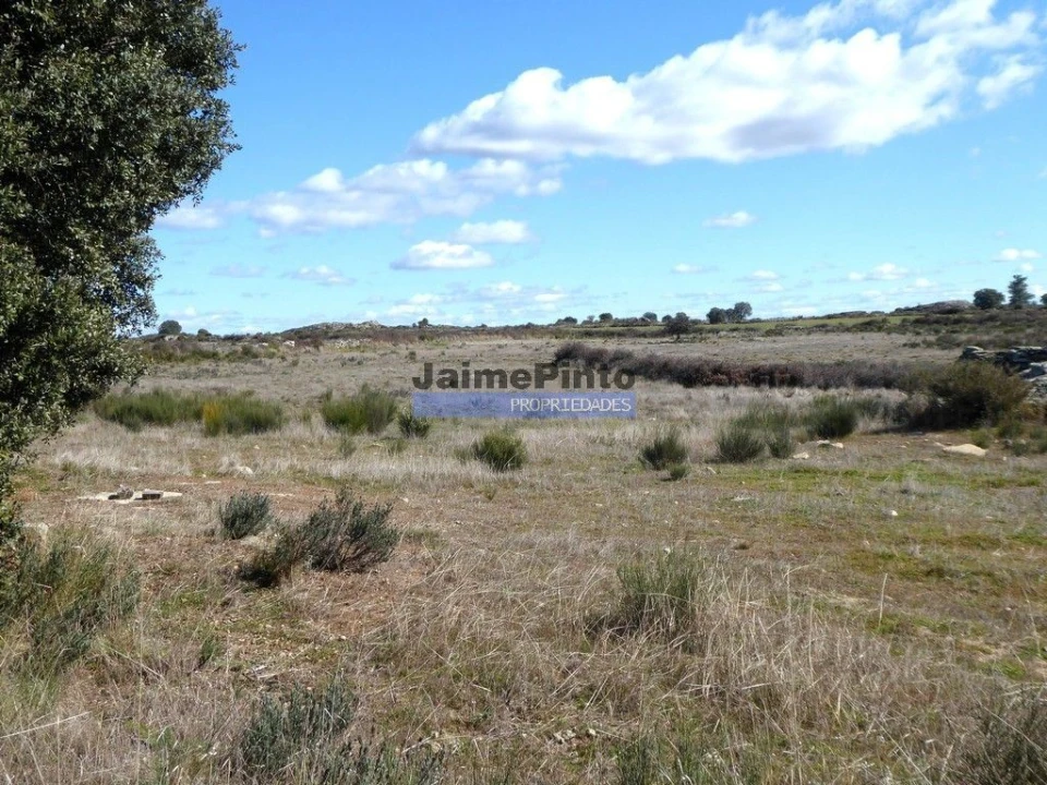 Terreno Agricola ou Rústico para Venda em Figueira de Castelo Rodrigo Foto 3