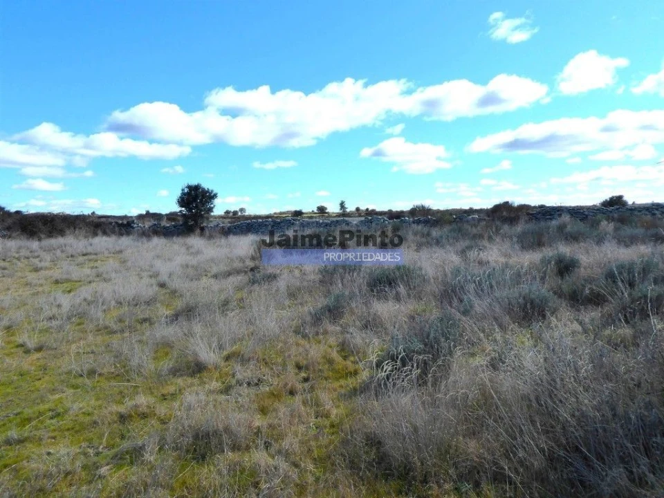 Terreno Agricola ou Rústico para Venda em Figueira de Castelo Rodrigo Foto 4