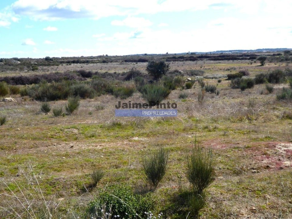 Terreno Agricola ou Rústico para Venda em Figueira de Castelo Rodrigo Foto 5