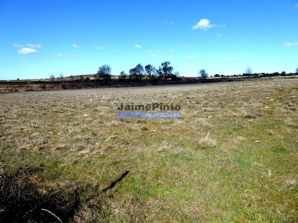 Terreno Agricola ou Rústico para Venda em Figueira de Castelo Rodrigo Foto 6