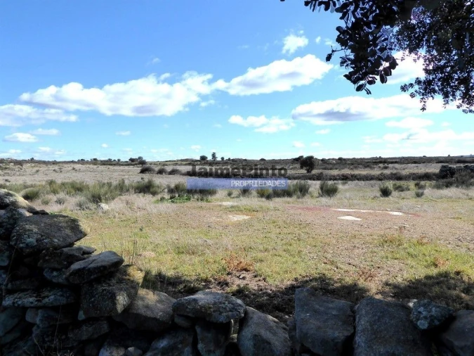 Terreno Agricola ou Rústico para Venda em Figueira de Castelo Rodrigo Foto 1