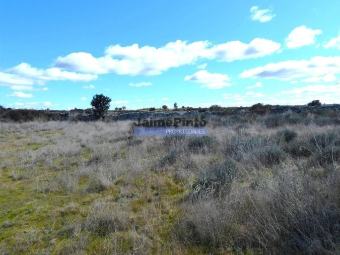 Terreno Agricola ou Rústico para Venda em Figueira de Castelo Rodrigo Foto 4