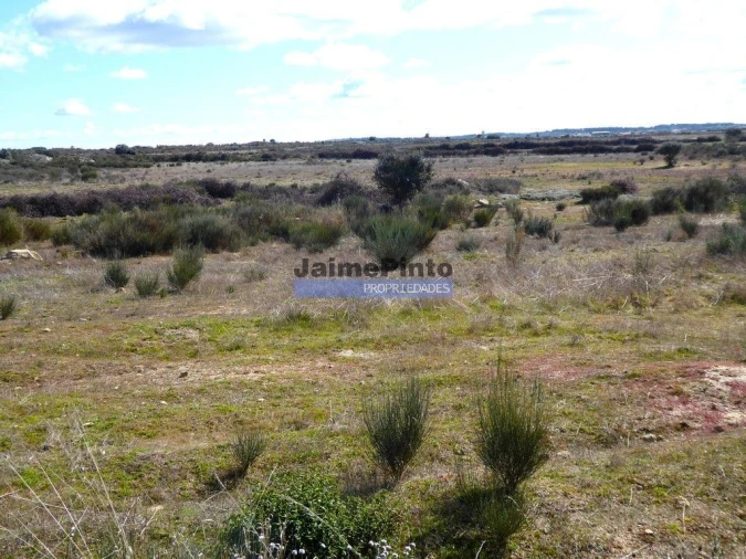 Terreno Agricola ou Rústico para Venda em Figueira de Castelo Rodrigo Foto 5