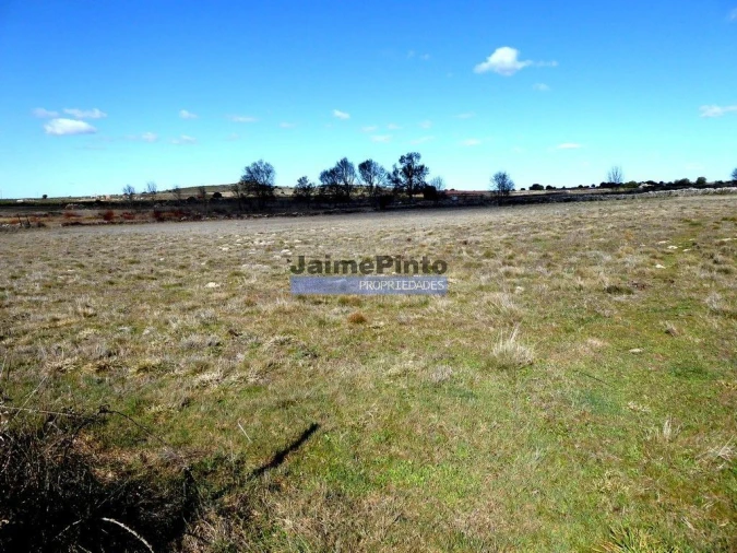 Terreno Agricola ou Rústico para Venda em Figueira de Castelo Rodrigo Foto 6