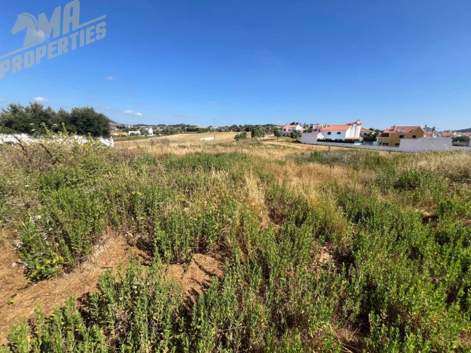 Terreno para Venda em Milharado Foto 10