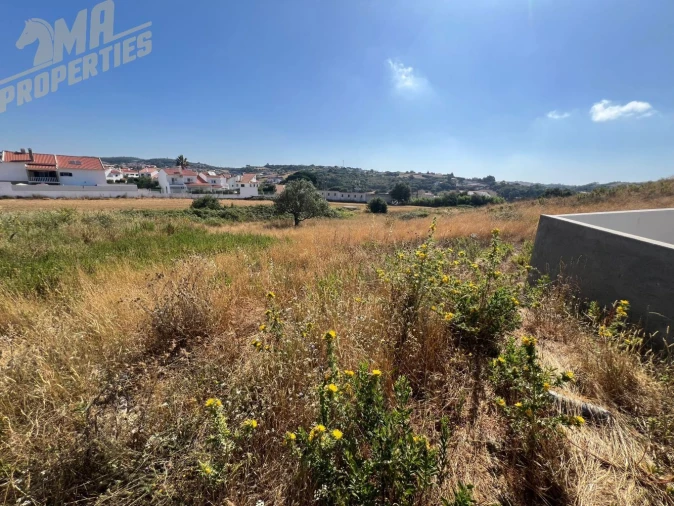 Terreno para Venda em Milharado Foto 4