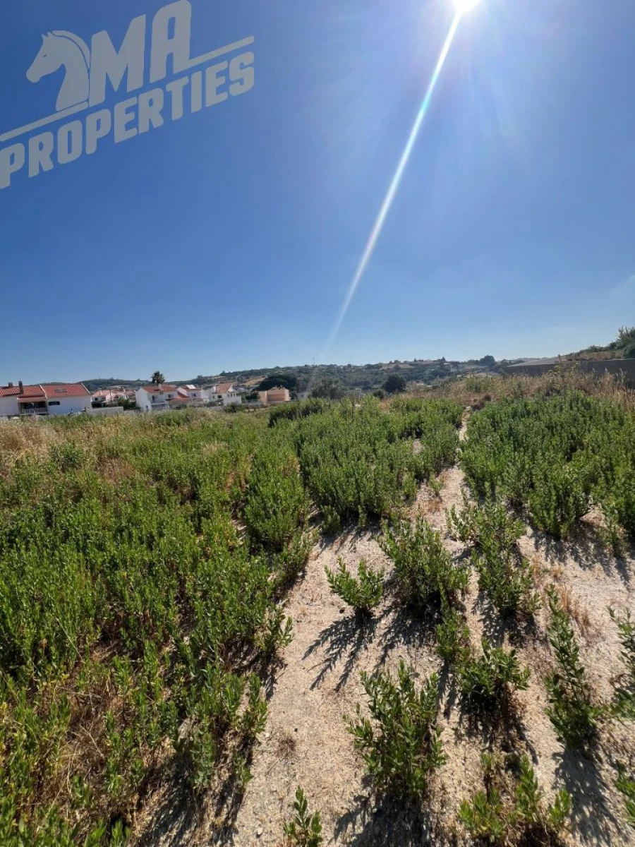 Terreno para Venda em Milharado Foto 11