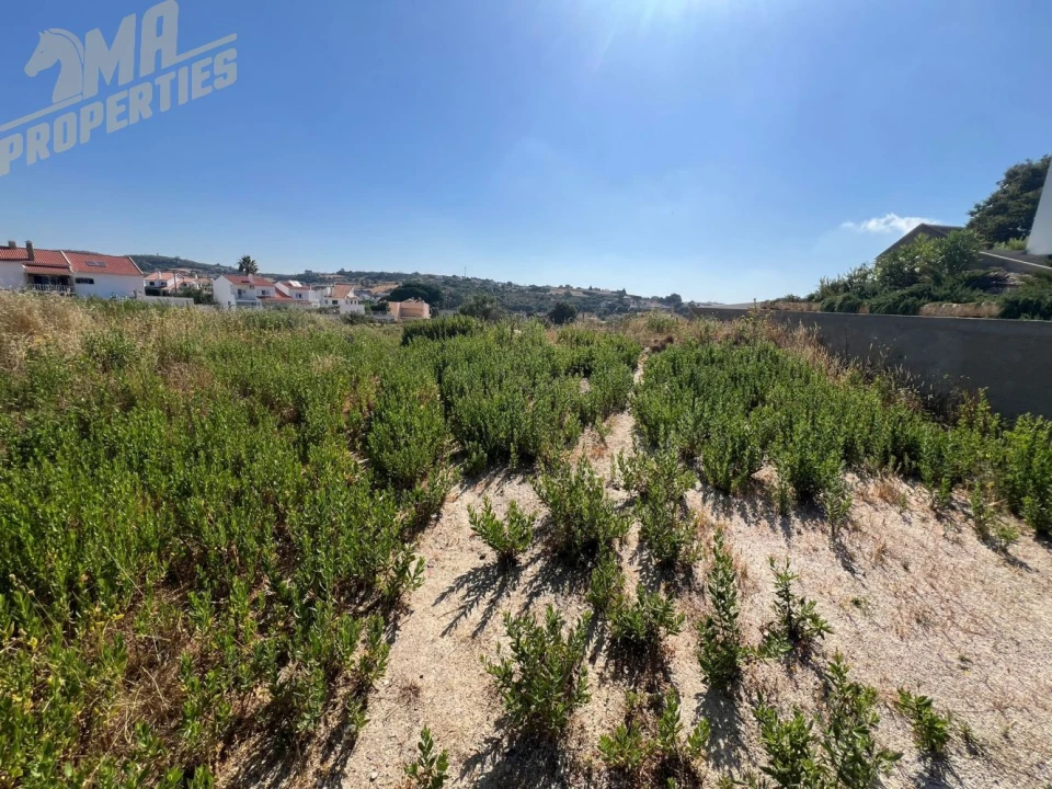 Terreno para Venda em Milharado Foto 12