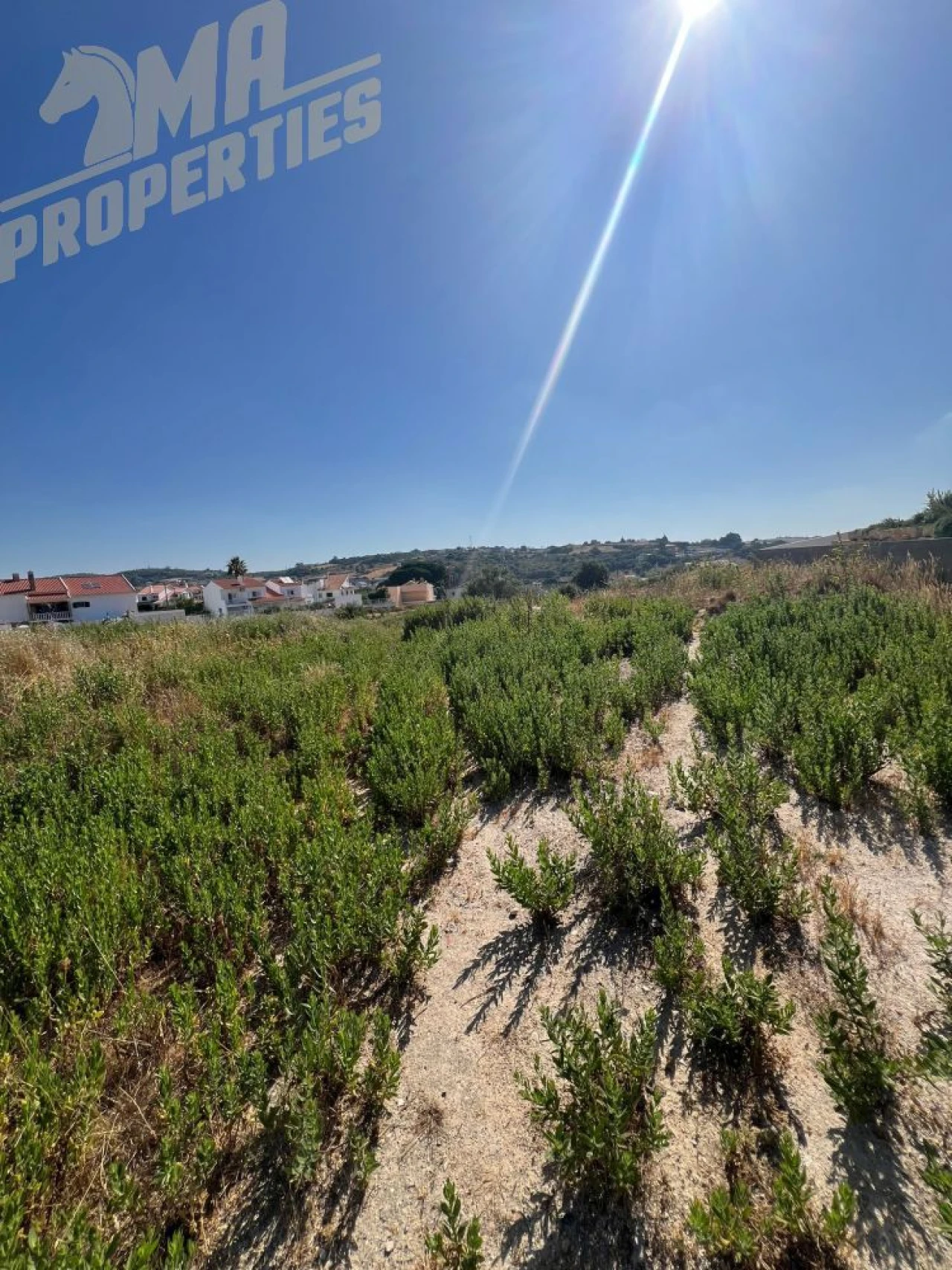 Terreno para Venda em Milharado Foto 11