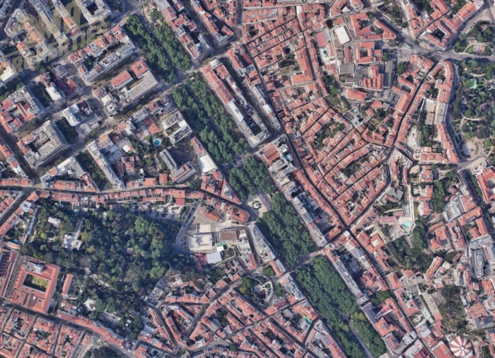 Loja para Arrendamento em Santo António Foto 3