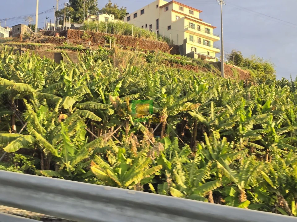 Terreno para Venda em Camara de Lobos Foto 1