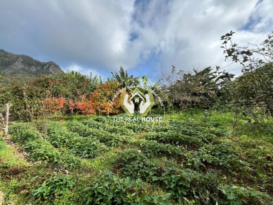 Terreno para Venda em Porto da Cruz Foto 19