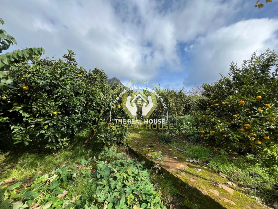 Terreno para Venda em Porto da Cruz Foto 21