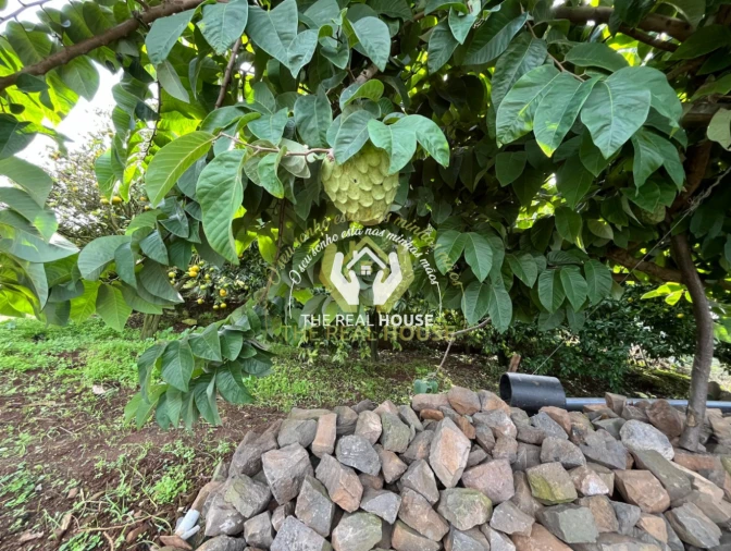 Terreno para Venda em Porto da Cruz Foto 24