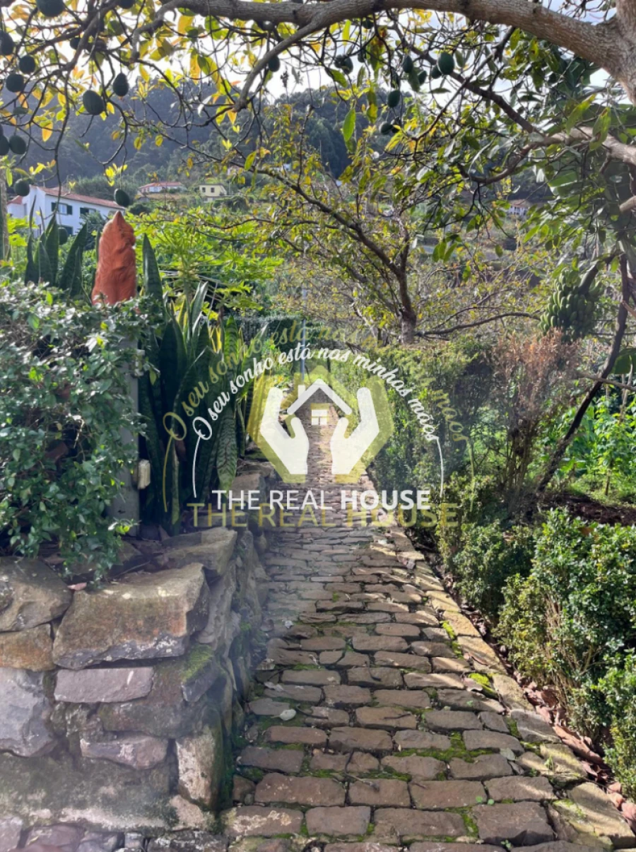 Terreno para Venda em Porto da Cruz Foto 15