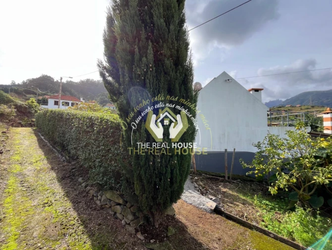 Terreno para Venda em Porto da Cruz Foto 29