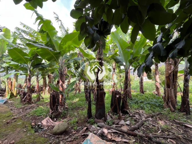 Terreno para Venda em Porto da Cruz Foto 18