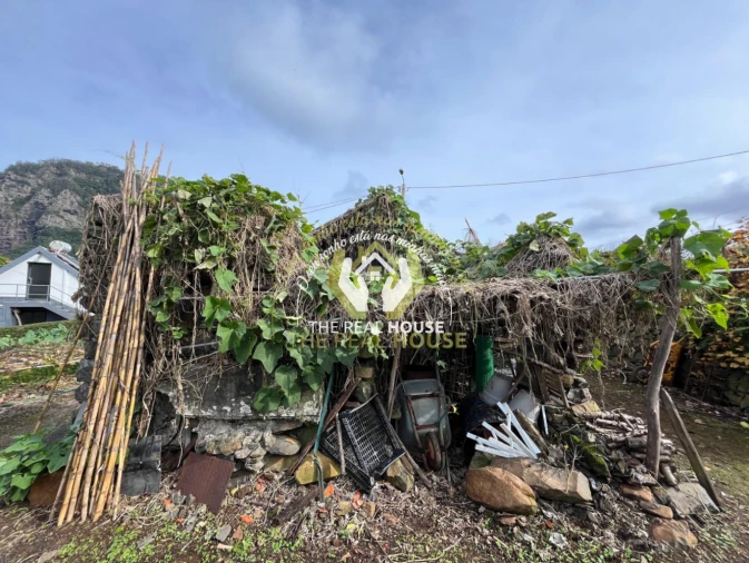 Terreno para Venda em Porto da Cruz Foto 3