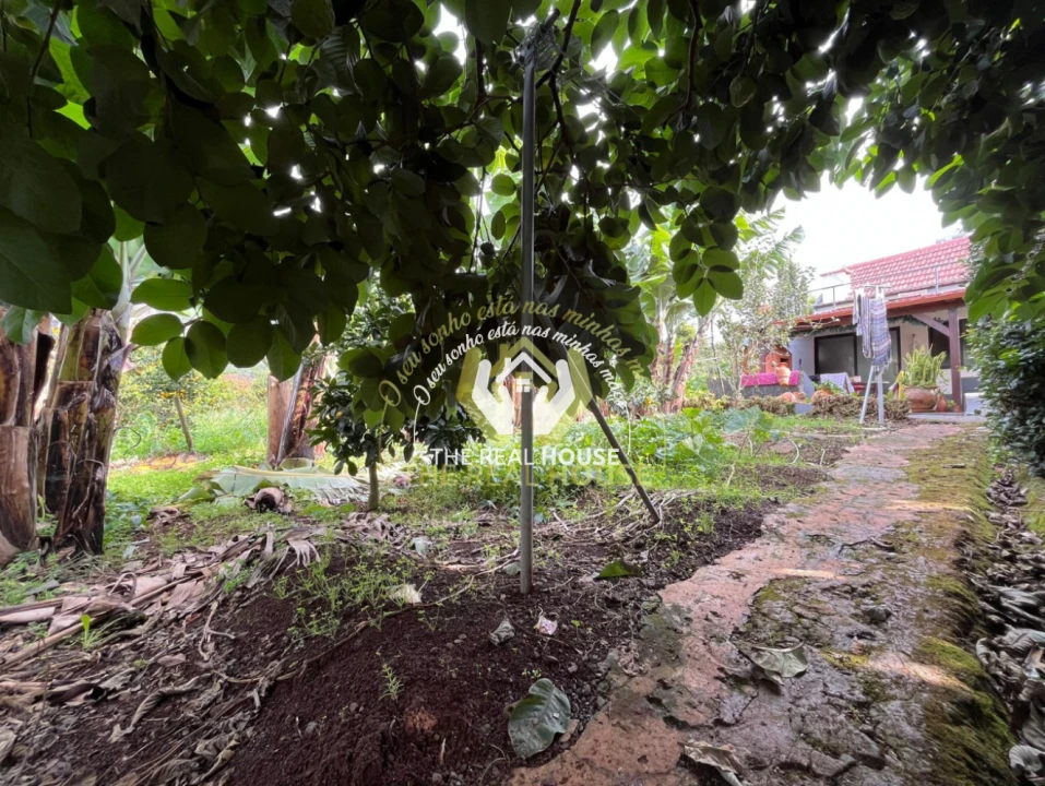 Terreno para Venda em Porto da Cruz Foto 17