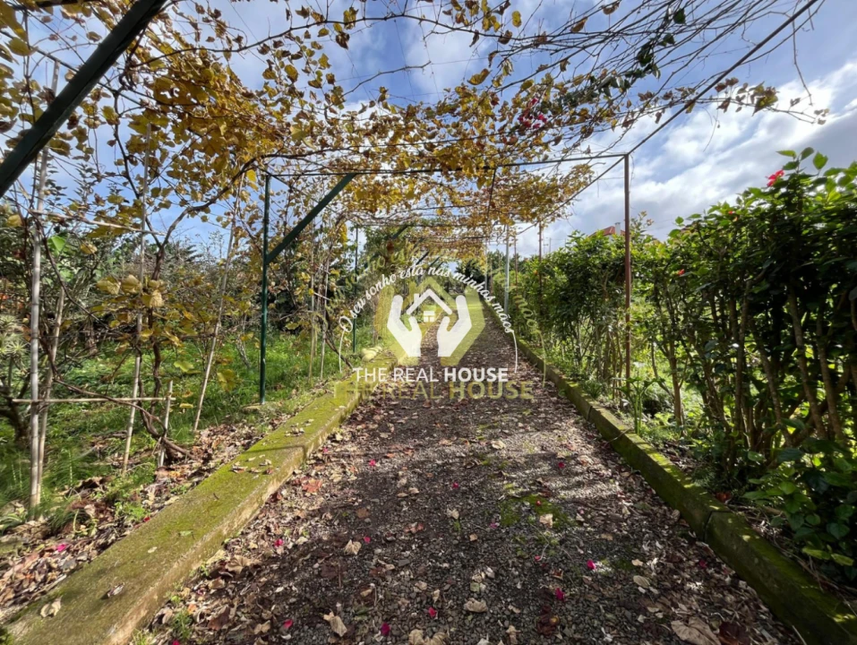 Terreno para Venda em Porto da Cruz Foto 27