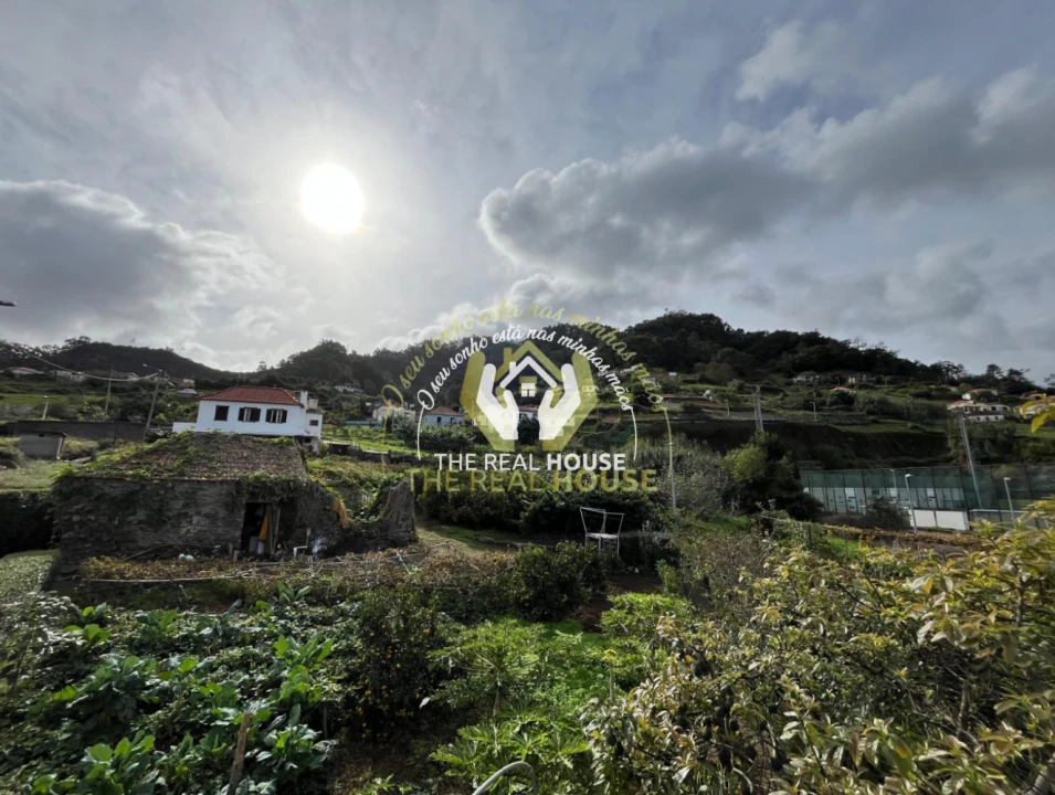 Terreno para Venda em Porto da Cruz Foto 14