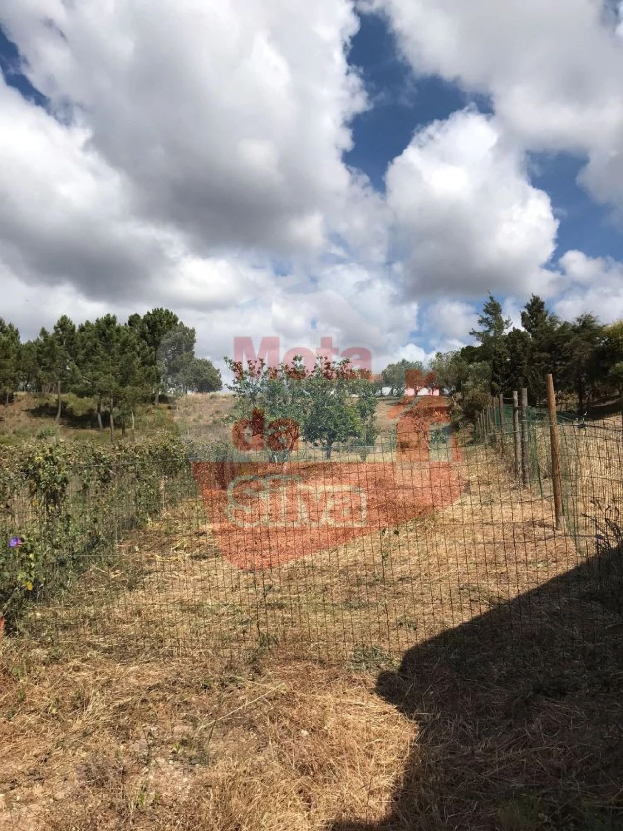 Quinta T2 para Venda em Melides Foto 23