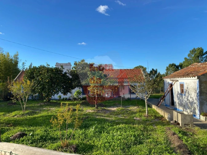 Quinta T2 para Venda em Melides Foto 2