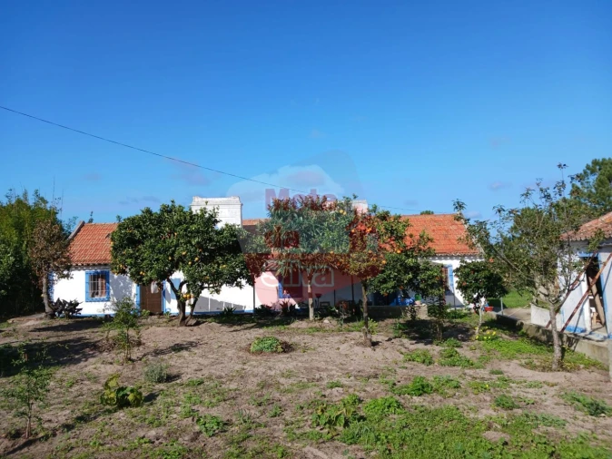 Quinta T2 para Venda em Melides Foto 4