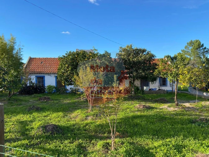 Quinta T2 para Venda em Melides Foto 3