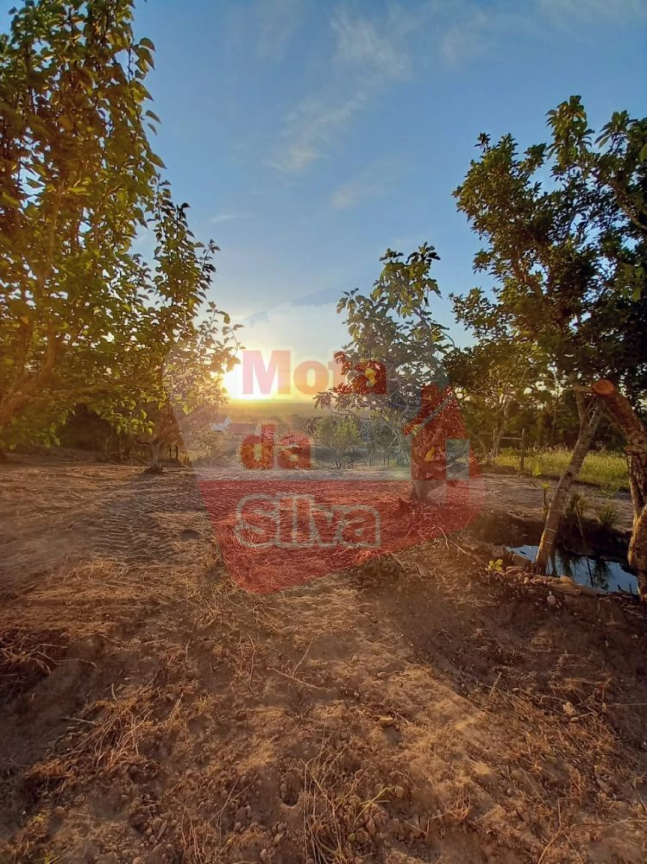 Quinta T2 para Venda em Melides Foto 21