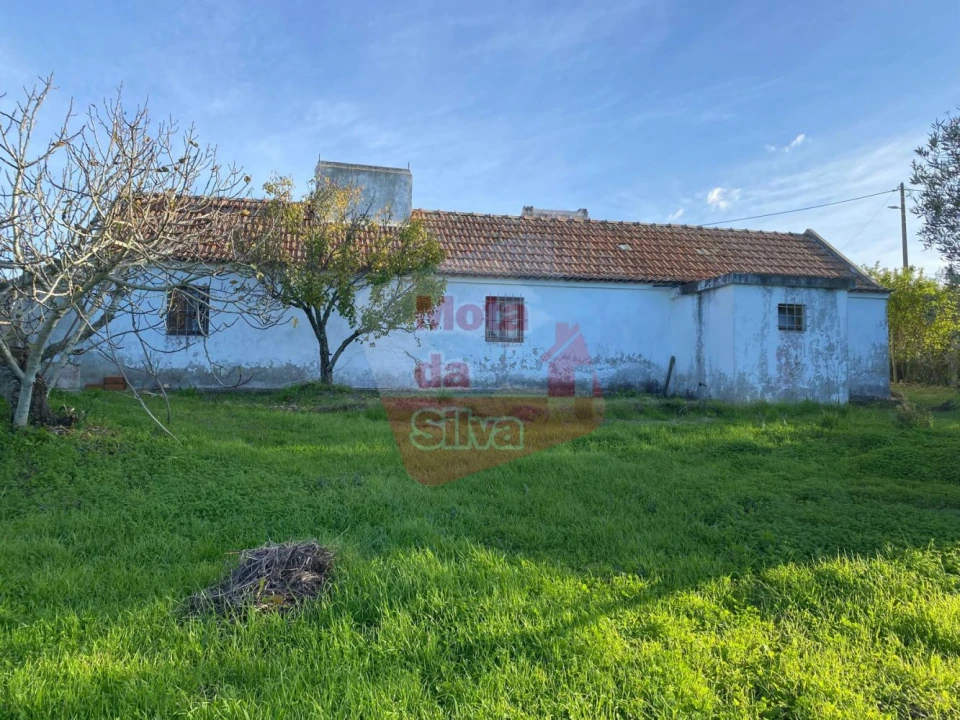 Quinta T2 para Venda em Melides Foto 7