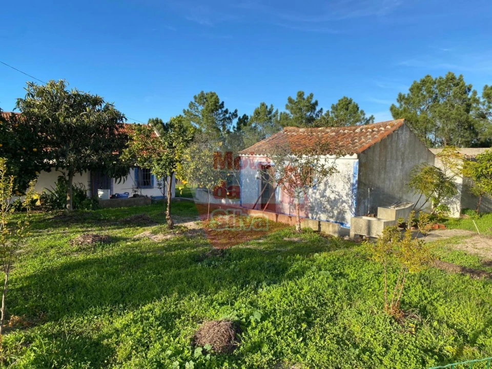 Quinta T2 para Venda em Melides Foto 6