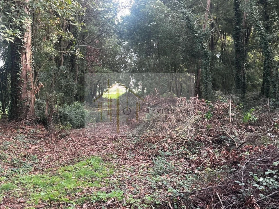 Terreno para Venda em Pardilho Foto 4