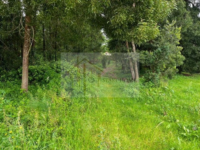 Terreno para Venda em Pardilho Foto 8