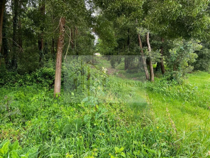 Terreno para Venda em Pardilho Foto 9