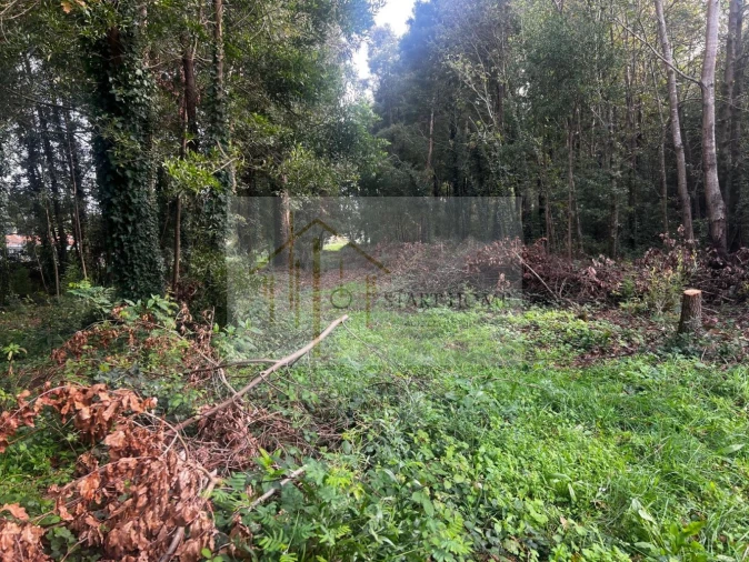 Terreno para Venda em Pardilho Foto 2