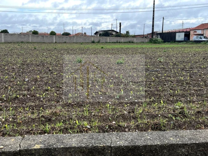 Terreno para Venda em Valega Foto 5