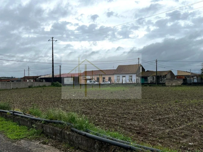 Terreno para Venda em Valega Foto 8