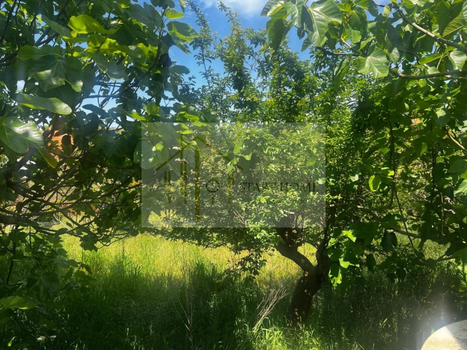 Moradia T2 para Venda em Cortegaça Foto 19