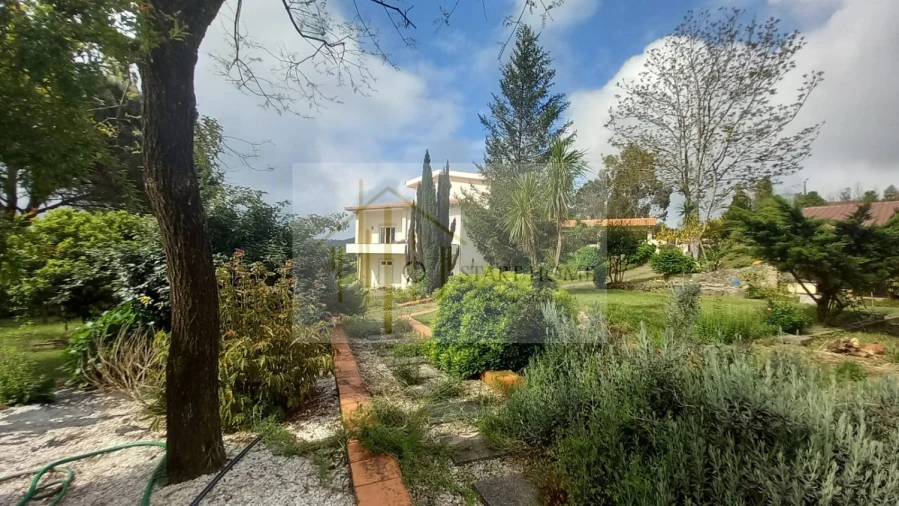 Moradia T3 para Venda em Ossela Foto 57