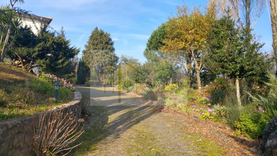 Moradia T3 para Venda em Ossela Foto 38