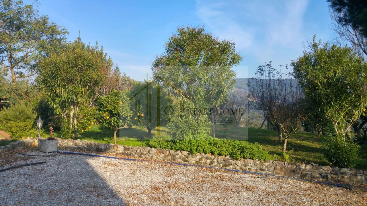 Moradia T3 para Venda em Ossela Foto 31