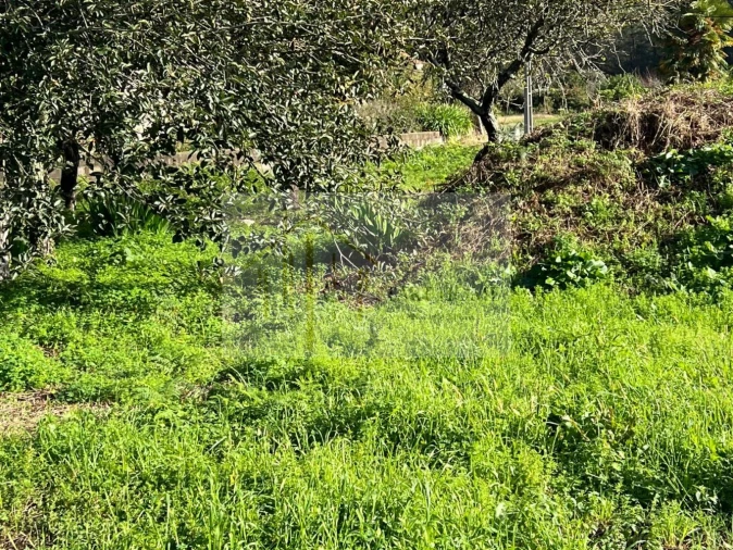 Moradia T2 para Venda em São Martinho da Gandara Foto 30