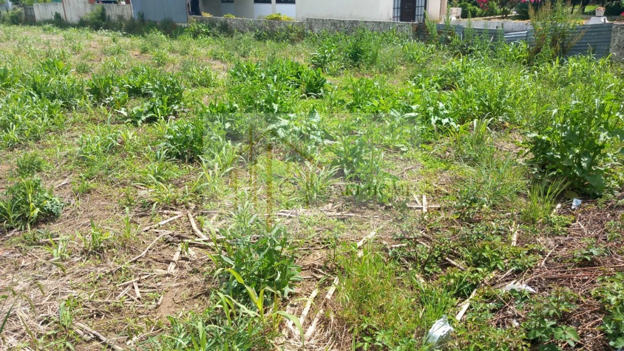 Terreno para Venda em Avanca Foto 16