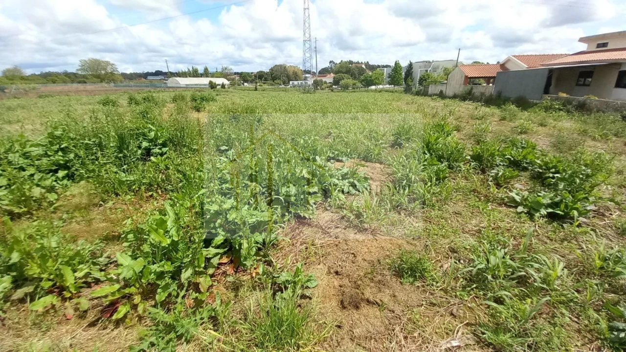 Terreno para Venda em Avanca Foto 20