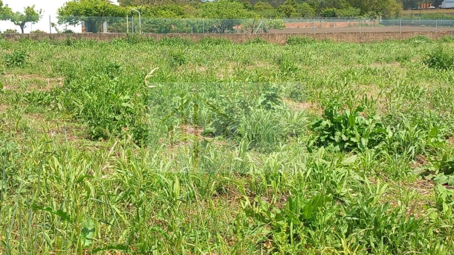 Terreno para Venda em Avanca Foto 17