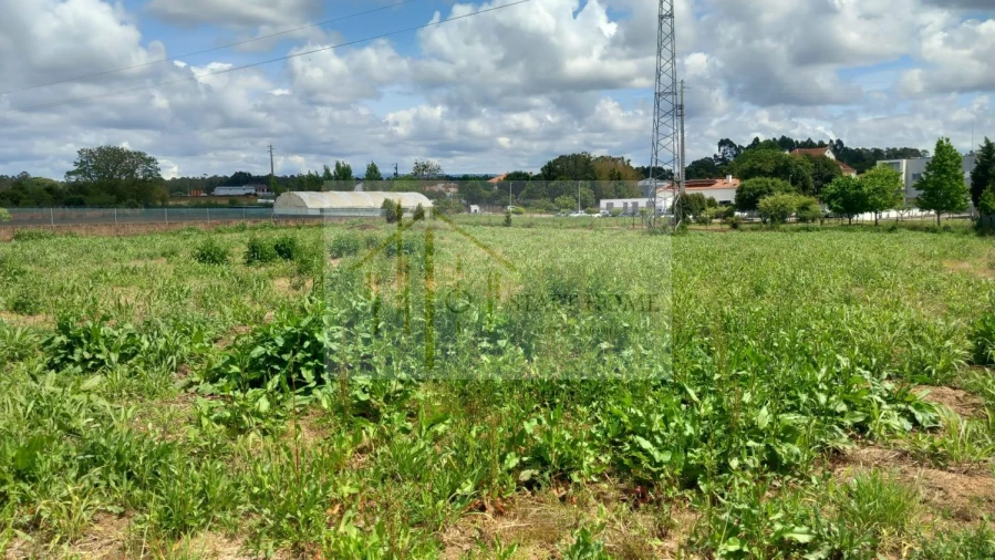 Terreno para Venda em Avanca Foto 9